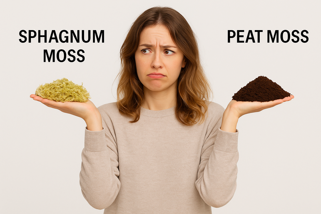 Sphagnum Moss vs. Peat Moss: What's the Difference?