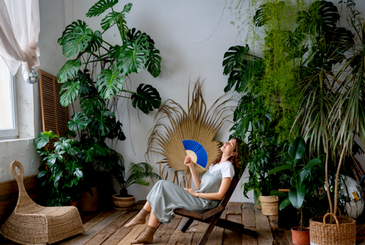 Grow Big in Small Spaces: Why Sphagnum Moss Is a Tiny Apartment's Best Friend