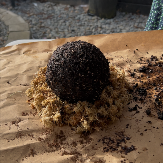Why Sphagnum Moss is the Heart of This Kokedama