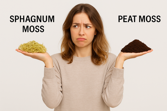 Sphagnum Moss vs. Peat Moss: What's the Difference?