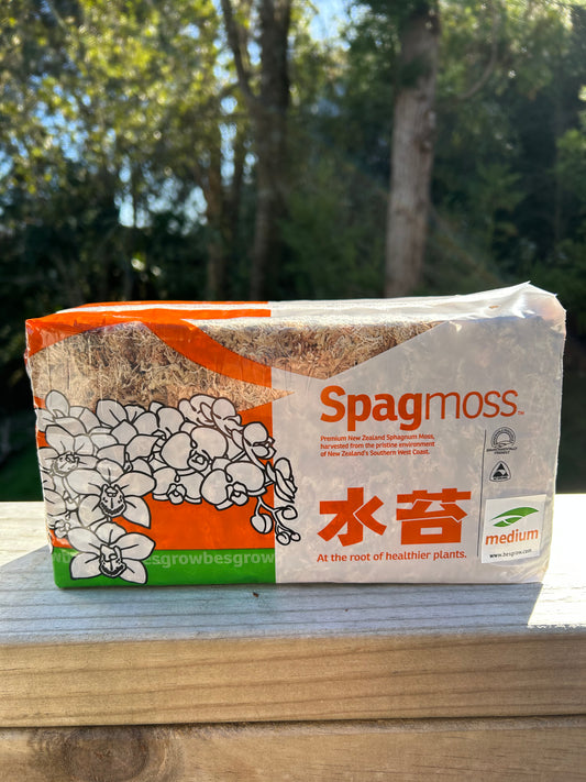 Besgrow Sphagnum Moss, 150g (12L When Hydrated)
